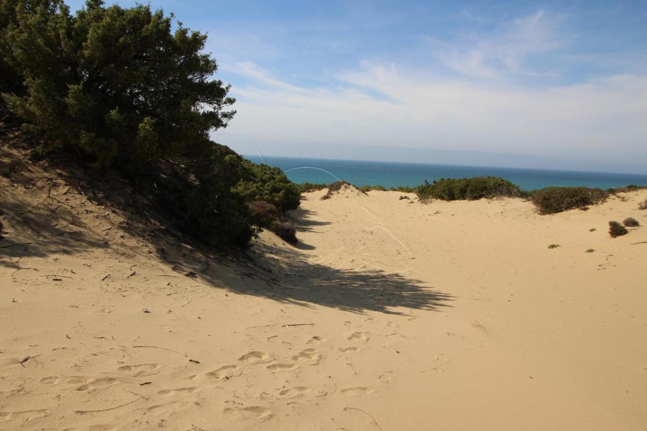 Ampio Appartamento Marina Di Арбус Экстерьер фото